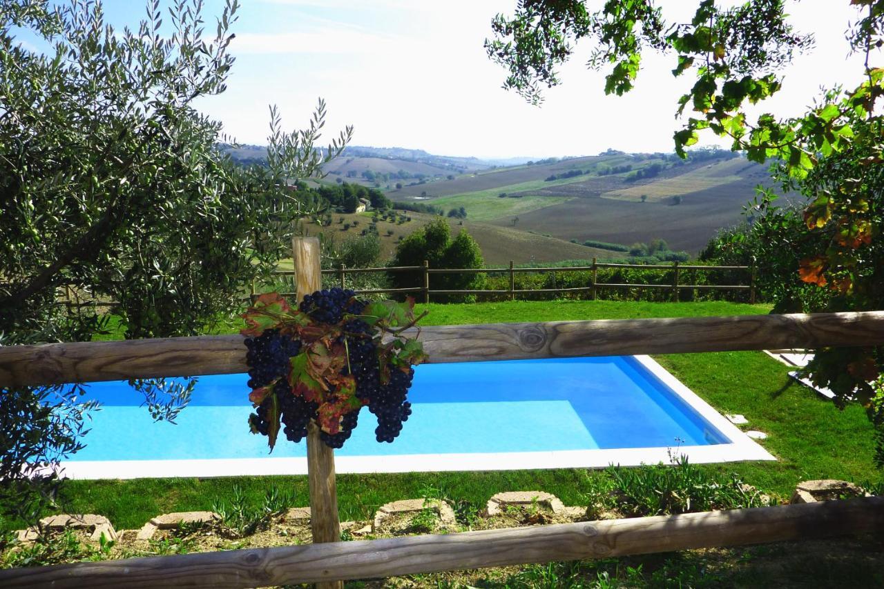 Villa Sant'Elena Morro dʼAlba Exterior foto
